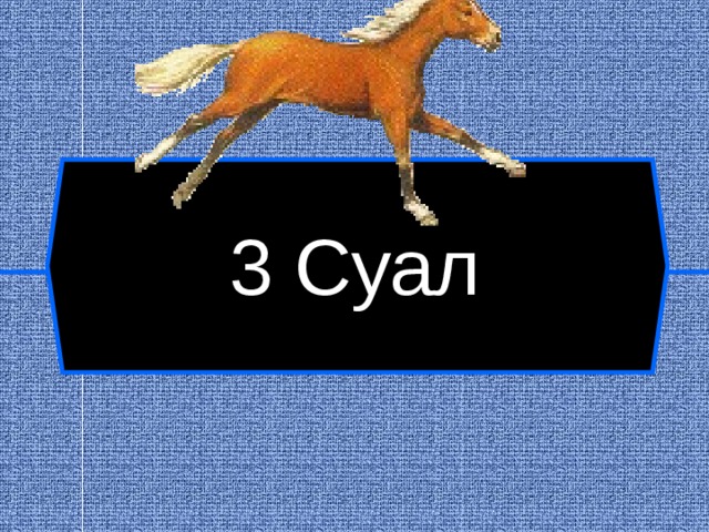 3 Суал  