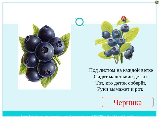Под листом на каждой ветке  Сидят маленькие детки.  Тот, кто деток соберёт,  Руки вымажет и рот. Черника 