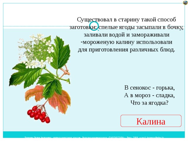 Существовал в старину такой способ заготовки: спелые ягоды засыпали в бочку, заливали водой и замораживали мороженую калину использовали для приготовления различных блюд.   В сенокос - горька,  А в мороз - сладка,  Что за ягодка?   Калина 