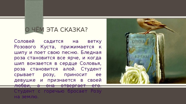 О чём эта сказка? Соловей садится на ветку Розового Куста, прижимается к шипу и поет свою песню. Бледная роза становится все ярче, и когда шип вонзается в сердце Соловья, роза становится алой. Студент срывает розу, приносит ее девушке и признается в своей любви, а она отвергает его. Студент с горечью бросает Розу на землю. 