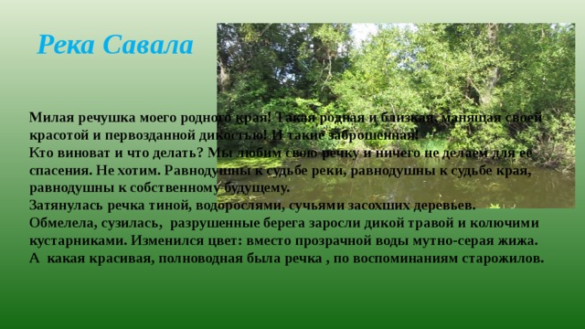 Река Савала Милая речушка моего родного края! Такая родная и близкая, манящая своей красотой и первозданной дикостью! И такие заброшенная! Кто виноват и что делать? Мы любим свою речку и ничего не делаем для ее спасения. Не хотим. Равнодушны к судьбе реки, равнодушны к судьбе края, равнодушны к собственному будущему. Затянулась речка тиной, водорослями, сучьями засохших деревьев. Обмелела, сузилась,  разрушенные берега заросли дикой травой и колючими кустарниками. Изменился цвет: вместо прозрачной воды мутно-серая жижа. А  какая красивая, полноводная была речка , по воспоминаниям старожилов. 