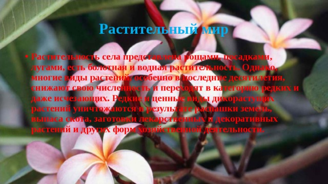 Растительный мир Растительность села представлена рощами, посадками, лугами, есть болотная и водная растительность. Однако, многие виды растений, особенно в последние десятилетия, снижают свою численность и переходят в категорию редких и даже исчезающих. Редкие и ценные виды дикорастущих растений уничтожаются в результате распашки земель, выпаса скота, заготовки лекарственных и декоративных растений и других форм хозяйственной деятельности. 