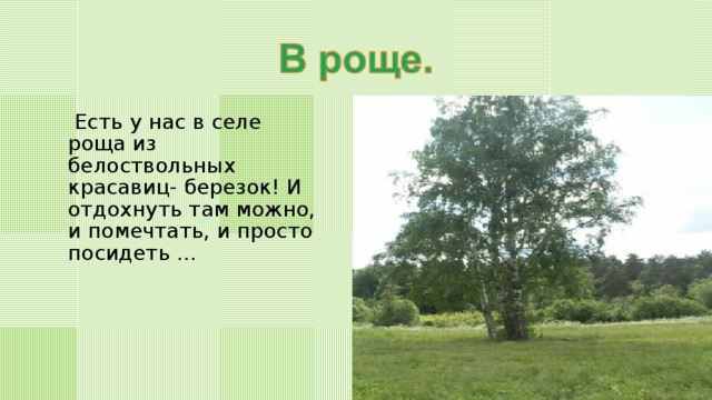  Есть у нас в селе роща из белоствольных красавиц- березок! И отдохнуть там можно, и помечтать, и просто посидеть … 