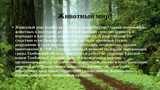 Животный мир Животный мир нашего края богат и разнообразен. Однако многие виды животных в последние десятилетия снижают свою численность и переходят в категорию редких и исчезающих. В ряде случаев это следствие естественных процессов, но чаще причиной служит разрушение и трансформация мест обитания, загрязнения, прямое уничтожение В 1998 г. Государственный комитет по охране окружающей среды Тамбовской области приступил к работе по созданию Красной книги Тамбовской области. Цель её учреждения и ведения — организация работы по изучению, выявлению, охране и восстановлению редких и исчезающих видов животных, расширение сети особо охраняемых природных территорий (заповедников, национальных парков, заказников, памятников природы). 