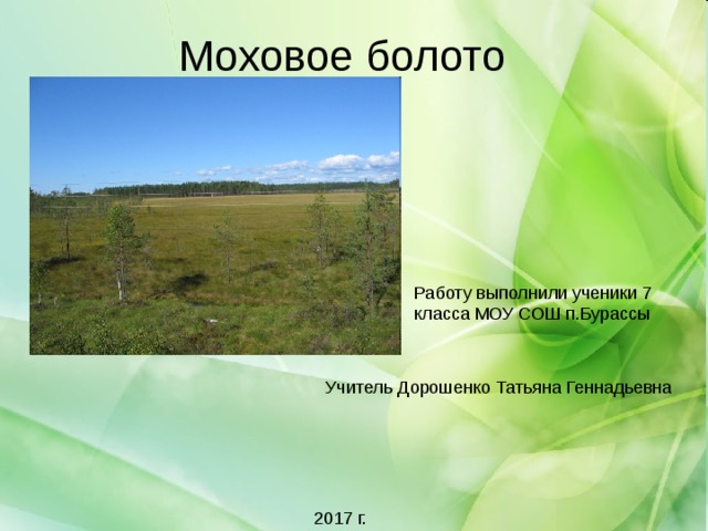 Моховое болото Работу выполнили ученики 7 класса МОУ СОШ п.Бурассы 