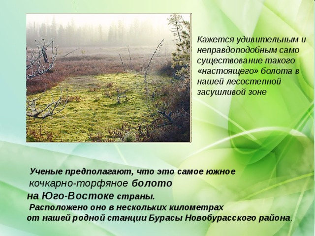 Кажется удивительным и неправдоподобным само существование такого «настоящего» болота в нашей лесостепной засушливой зоне  Ученые предполагают, что это самое южное  кочкарно-торфяное болото на Юго-Востоке страны.  Расположено оно в нескольких километрах от нашей родной станции Бурасы Новобурасского района .  