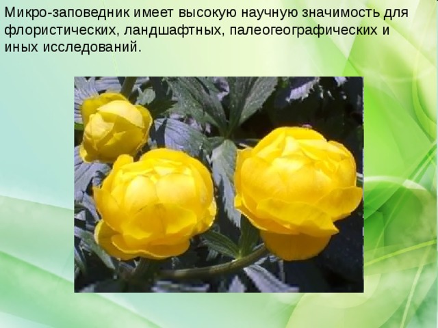 Микро-заповедник имеет высокую научную значимость для флористических, ландшафтных, палеогеографических и иных исследований. 