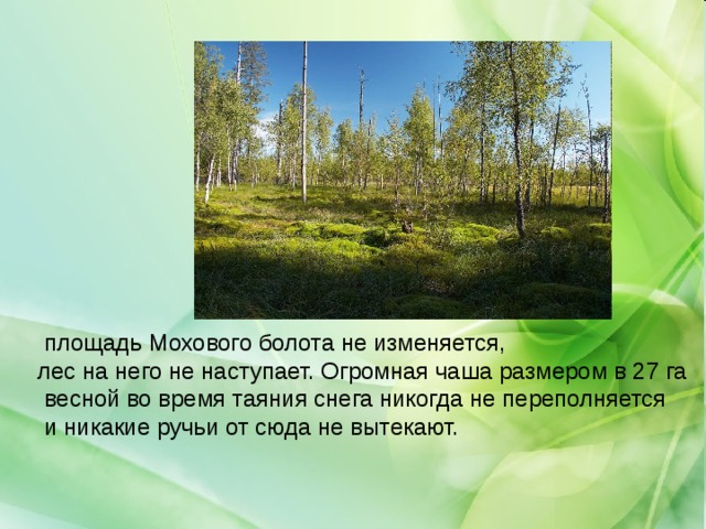  площадь Мохового болота не изменяется, лес на него не наступает. Огромная чаша размером в 27 га  весной во время таяния снега никогда не переполняется  и никакие ручьи от сюда не вытекают. 