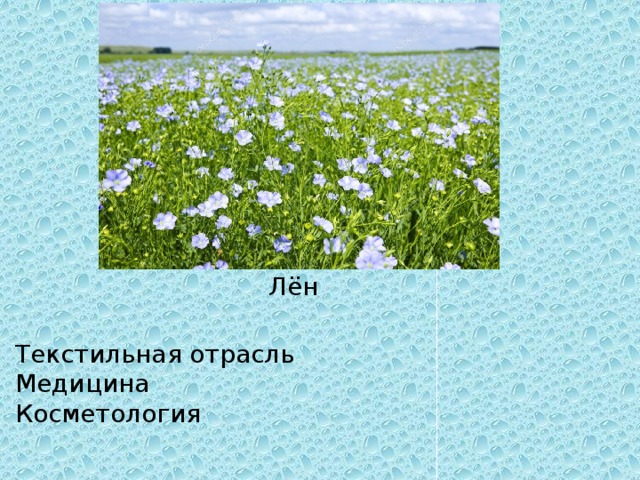 Лён Текстильная отрасль  Медицина Косметология 