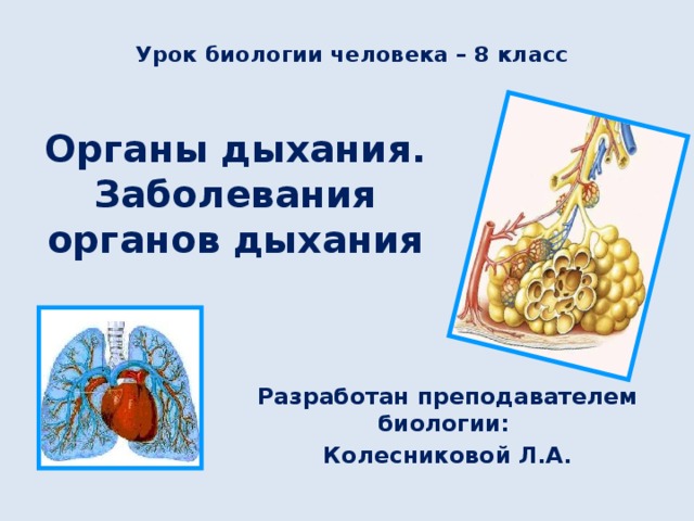 Урок биологии человека – 8 класс Органы дыхания. Заболевания органов дыхания Разработан преподавателем биологии: Колесниковой Л.А. 