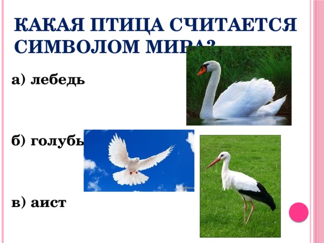 Какая птица считается символом мира?   а) лебедь   б) голубь   в) аист 