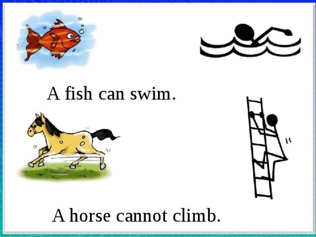 A fish can swim. A horse cannot climb.  