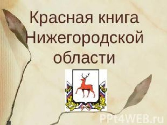 Нижегородской области 