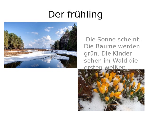 Der frühling  Die Sonne scheint. Die Bäume werden grün. Die Kinder sehen im Wald die ersten weißen Schneeglöckchen. Es wird immer wärmer. 