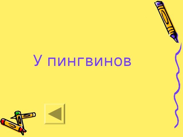 У пингвинов 