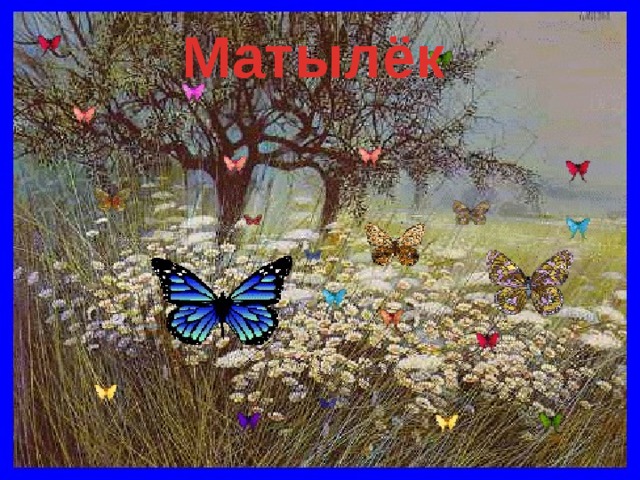 Матылёк