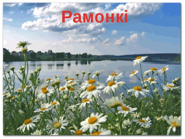 Рамонкі