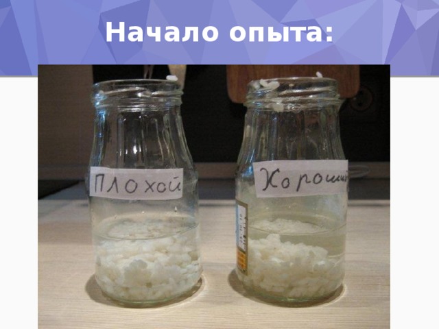 Начало опыта:
