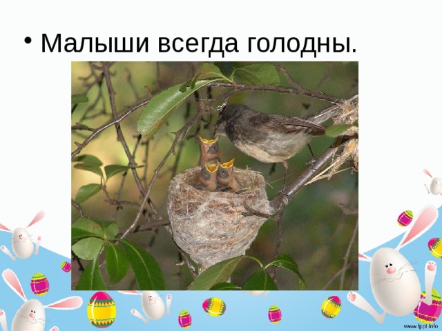 Малыши всегда голодны. 