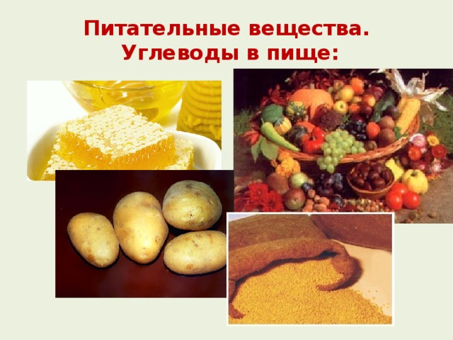 Питательные вещества.  Углеводы в пище: 