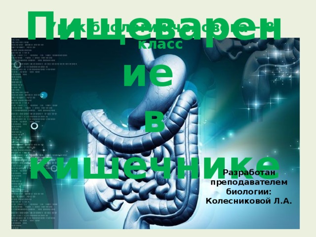 Урок биологии человека – 8 класс Пищеварение  в кишечнике Разработан преподавателем биологии: Колесниковой Л.А. 