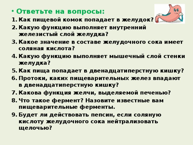 Ответьте на вопросы: Как пищевой комок попадает в желудок? Какую функцию выполняет внутренний железистый слой желудка? Какое значение в составе желудочного сока имеет соляная кислота? Какую функцию выполняет мышечный слой стенки желудка? Как пища попадает в двенадцатиперстную кишку? Протоки, каких пищеварительных желез впадают в двенадцатиперстную кишку? Какова функция желчи, выделяемой печенью? Что такое фермент? Назовите известные вам пищеварительные ферменты. Будет ли действовать пепсин, если соляную кислоту желудочного сока нейтрализовать щелочью? 