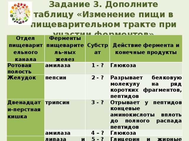 Задание 3. Дополните таблицу «Изменение пищи в пищеварительном тракте при участии ферментов» Отдел пищеварительного канала Ферменты пищеваритель-ных желез Ротовая полость амилаза Желудок Субстрат пепсин Двенадцати-перстная кишка 1 - ? Действие фермента и конечные продукты Глюкоза трипсин 2 - ? 3 - ? амилаза   Разрывает белковую молекулу на ряд коротких фрагментов, пептидов Отрывает у пептидов концевые аминокислоты вплоть до полного распада пептидов липаза и желчь печени 4 – ? Глюкоза 5 - ? Глицерин и жирные кислоты 