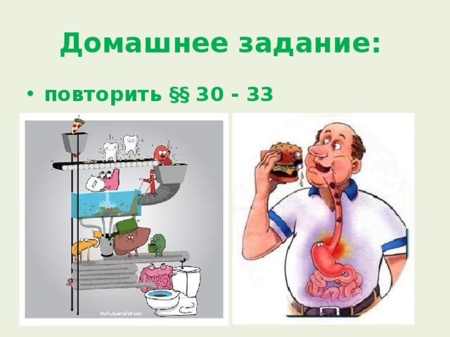 Домашнее задание: повторить §§ 30 - 33 