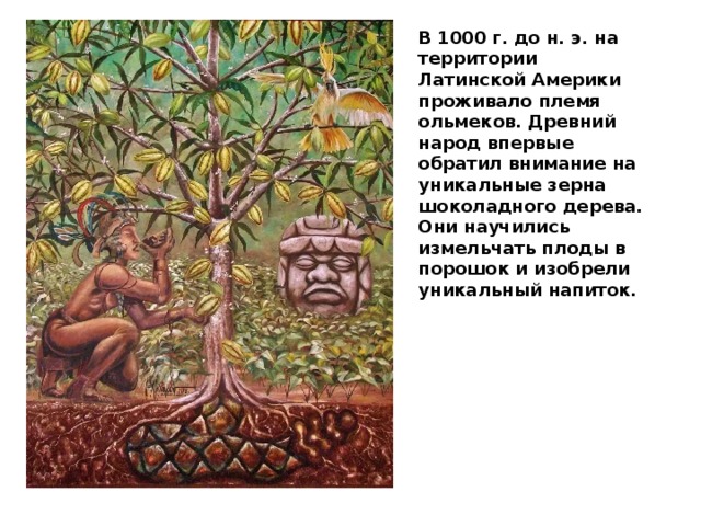 В 1000 г. до н. э. на территории Латинской Америки проживало племя ольмеков. Древний народ впервые обратил внимание на уникальные зерна шоколадного дерева. Они научились измельчать плоды в порошок и изобрели уникальный напиток. 