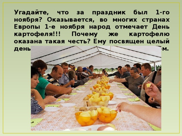 Угадайте, что за праздник был 1-го ноября? Оказывается, во многих странах Европы 1-е ноября народ отмечает День картофеля!!! Почему же картофелю оказана такая честь? Ему посвящен целый день. Мы заинтересовались этим вопросом. 