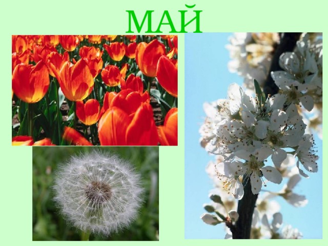 МАЙ 