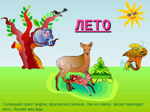 ЛЕТО Солнышко греет жарче, кругом все зелено, так на смену весне приходит лето. Летние месяцы 