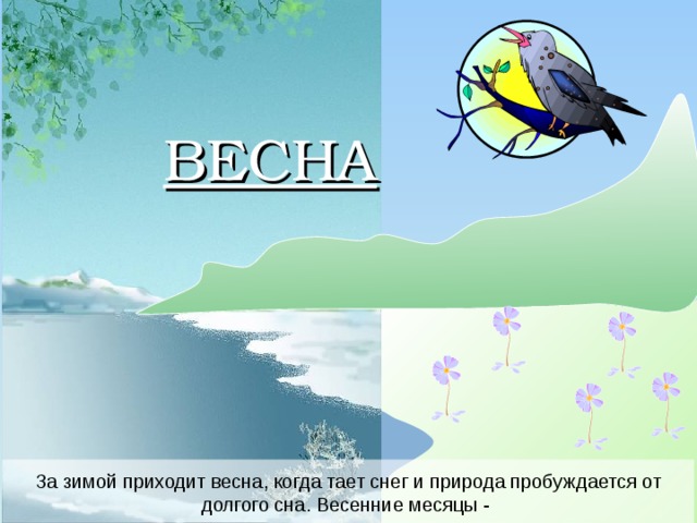 ВЕСНА За зимой приходит весна, когда тает снег и природа пробуждается от долгого сна. Весенние месяцы - 