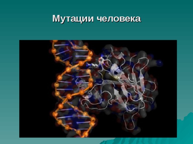 Мутации человека 