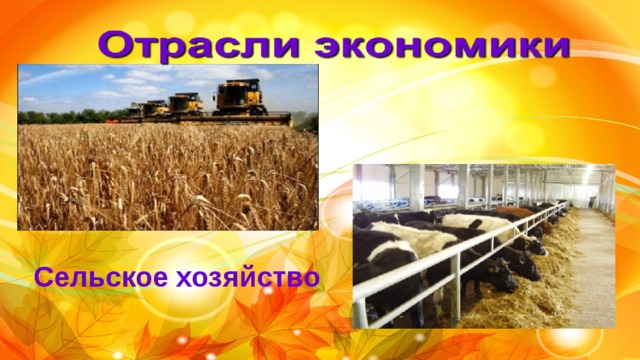 Сельское хозяйство 