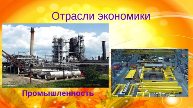 Отрасли экономики Промышленность 