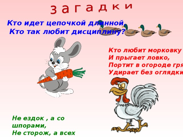 Кто идет цепочкой длинной ,  Кто так любит дисциплину?  Кто любит морковку И прыгает ловко, Портит в огороде грядки, Удирает без оглядки?  Не ездок , а со шпорами, Не сторож, а всех будит . 