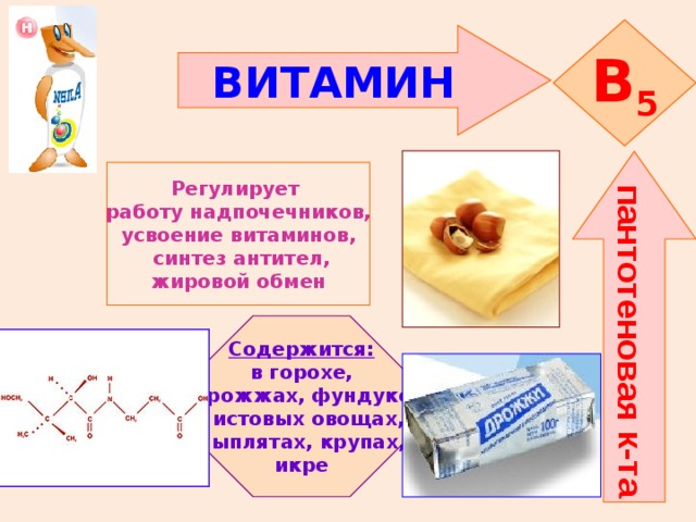 пантотеновая к-та B 5 ВИТАМИН  Регулирует работу надпочечников, усвоение витаминов,  синтез антител, жировой обмен Содержится: в горохе,  дрожжах, фундуке, листовых овощах, цыплятах, крупах, икре 