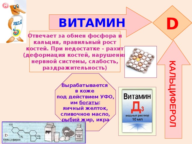 КАЛЬЦИФЕРОЛ D ВИТАМИН  Отвечает за обмен фосфора и кальция, правильный рост костей. При недостатке - рахит (деформация костей, нарушения нервной системы, слабость, раздражительность) Вырабатывается в коже под действием УФО, им богаты : яичный желток, сливочное масло, рыбий жир, икра 