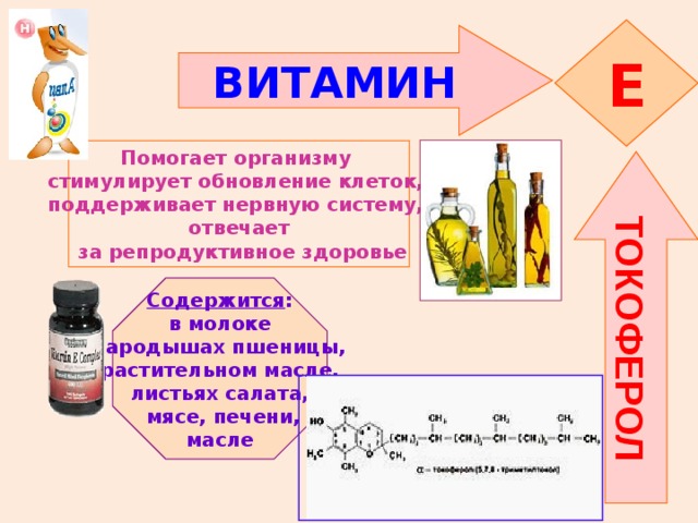 ТОКОФЕРОЛ E ВИТАМИН  Помогает организму стимулирует обновление клеток, поддерживает нервную систему, отвечает  за репродуктивное здоровье  Содержится : в молоке зародышах пшеницы, растительном масле, листьях салата,  мясе, печени, масле  