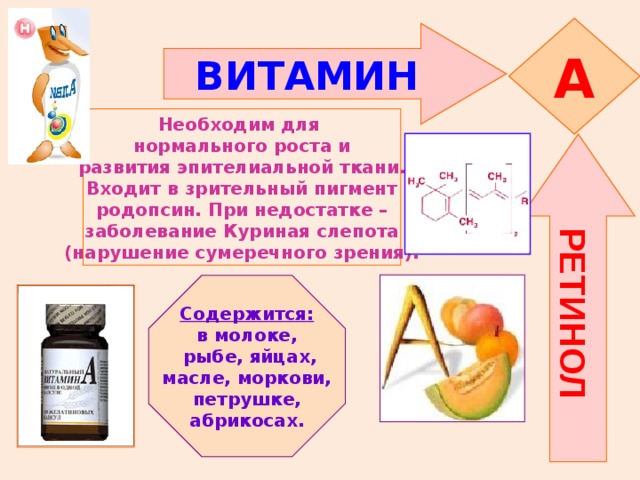 РЕТИНОЛ A ВИТАМИН  Необходим для нормального роста и развития эпителиальной ткани. Входит в зрительный пигмент родопсин. При недостатке – заболевание Куриная слепота (нарушение сумеречного зрения). Содержится: в молоке,  рыбе, яйцах, масле, моркови, петрушке, абрикосах. 