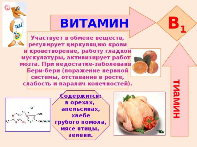 тиамин B 1 ВИТАМИН   Участвует в обмене веществ, регулирует циркуляцию крови и кроветворение, работу гладкой мускулатуры, активизирует работу мозга. При недостатке-заболевание Бери-бери (поражение нервной системы, отставание в росте, слабость и паралич конечностей).    Содержится : в орехах, апельсинах,  хлебе грубого помола, мясе птицы, зелени.   