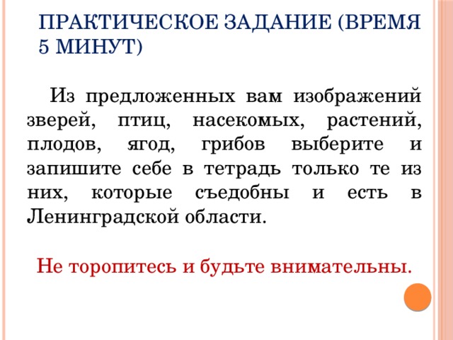 Практическое задание (время 5 минут) Из предложенных вам изображений зверей, птиц, насекомых, растений, плодов, ягод, грибов выберите и запишите себе в тетрадь только те из них, которые съедобны и есть в Ленинградской области. Не торопитесь и будьте внимательны. 