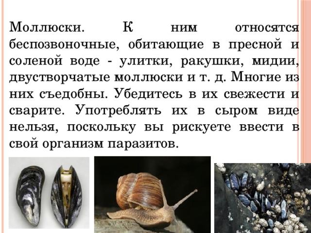 Моллюски. К ним относятся беспозвоночные, обитающие в пресной и соленой воде - улитки, ракушки, мидии, двустворчатые моллюски и т. д. Многие из них съедобны. Убедитесь в их свежести и сварите. Употреблять их в сыром виде нельзя, поскольку вы рискуете ввести в свой организм паразитов. 