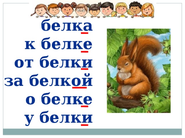 белка к белке от белки за белкой о белке у белки 