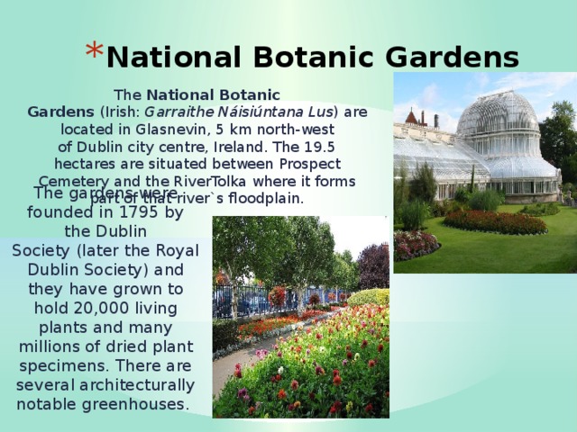 National Botanic Gardens The  National Botanic Gardens  (Irish:  Garraithe Náisiúntana Lus ) are located in Glasnevin, 5 km north-west of Dublin city centre, Ireland. The 19.5 hectares are situated between Prospect Cemetery and the RiverTolka where it forms part of that river`s floodplain. The gardens were founded in 1795 by the Dublin Society (later the Royal Dublin Society) and they have grown to hold 20,000 living plants and many millions of dried plant specimens. There are several architecturally notable greenhouses. 