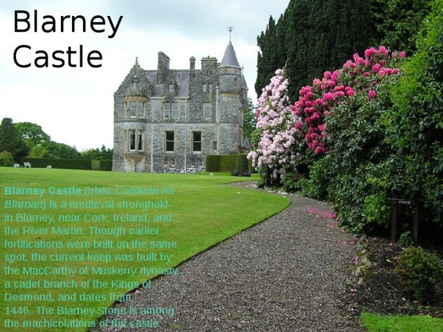 Blarney Castle Blarney Castle  (Irish:  Caisleán na Blarnan ) is a medieval stronghold in Blarney, near Cork, Ireland, and the River Martin. Though earlier fortifications were built on the same spot, the current keep was built by the MacCarthy of Muskerry dynasty, a cadet branch of the Kings of Desmond, and dates from 1446. The Blarney Stone is among the machicolations of the castle.  