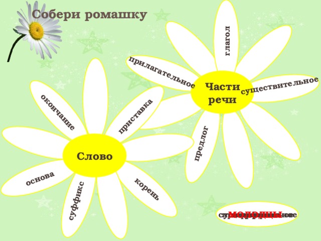                  существительное корень прилагательное основа окончание глагол приставка предлог суффикс Собери ромашку Части речи Слово основа окончание прилагательное глагол корень приставка существительное предлог  суффикс МОЛОДЦЫ 
