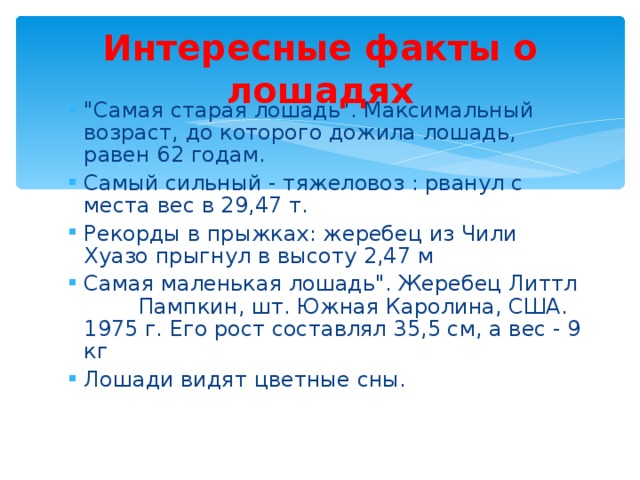 Интересные факты о лошадях 