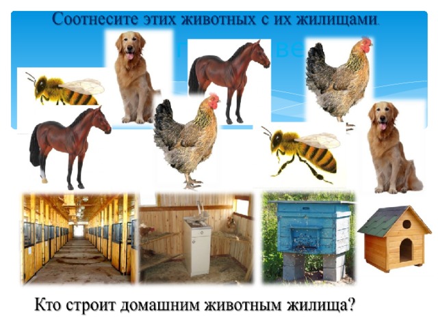 Кто где живет 